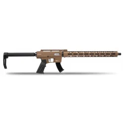 CARABINE DERYA TM22 CAL...