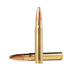 MUNITIONS NORMA 9.3X62 ORYX 285GR X20 NORMA - 1