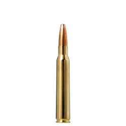 MUNITIONS NORMA 7x64 VULKAN 170GR X20 NORMA - 1