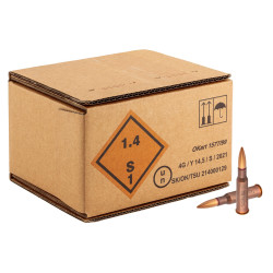 Munitions de Surplus SSO 7.62x54R FMJ X250 - 1