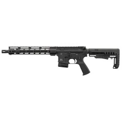 CARABINE TYPE AR15 PERUN...