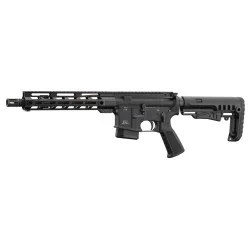 CARABINE TYPE AR15 PERUN...